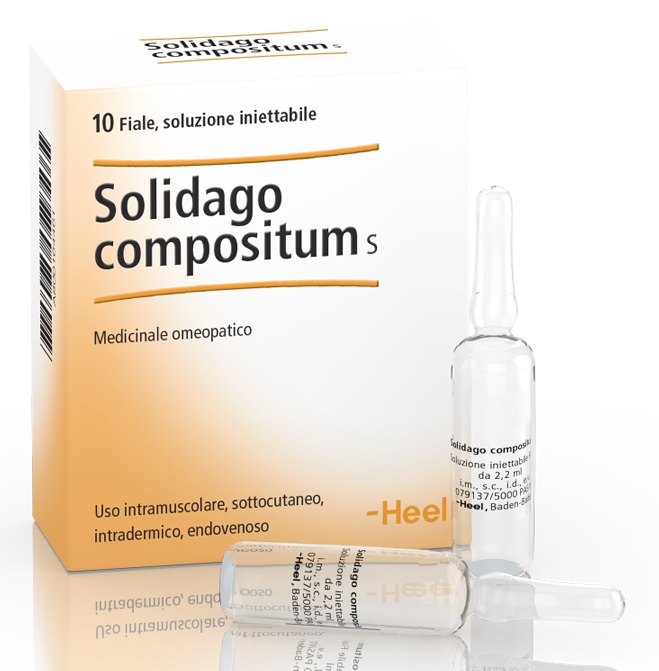 HEEL SOLIDAGO COMPOSITUM 10 FIALE DA 2,2 ML L'UNA - farmacia187.it