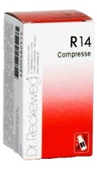 RECKEWEG R14 100 COMPRESSE - farmacia187.it