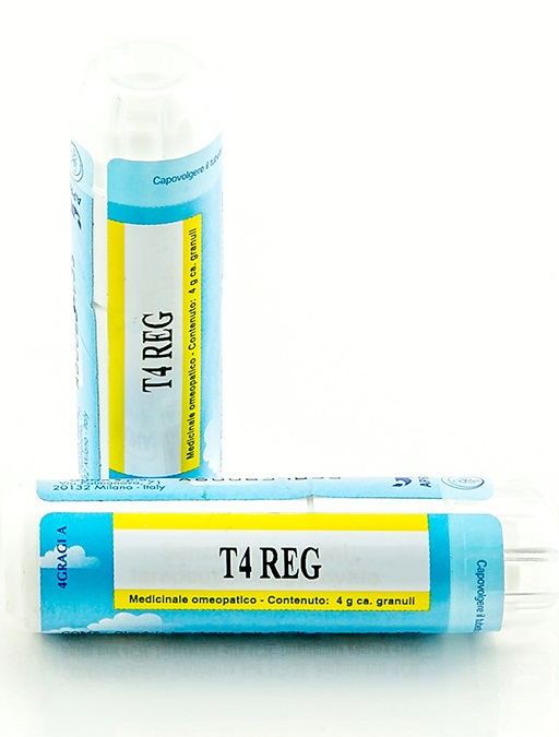 T4 REG GRANULI 4G - farmacia187.it