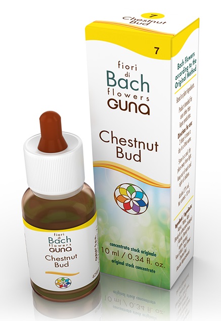 CHESTNUT BUD GOCCE 10 ML - farmacia187.it