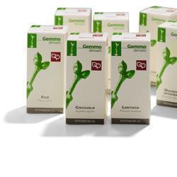 VITE VINIFERA MACERATO GLICERICO 100 ML - farmacia187.it