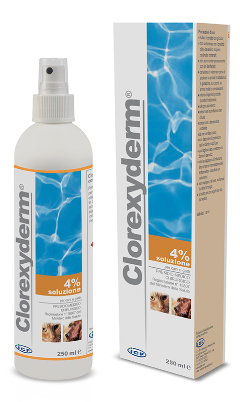 CLOREXYDERM SOLUZIONE 4% 250 ML - farmacia187.it
