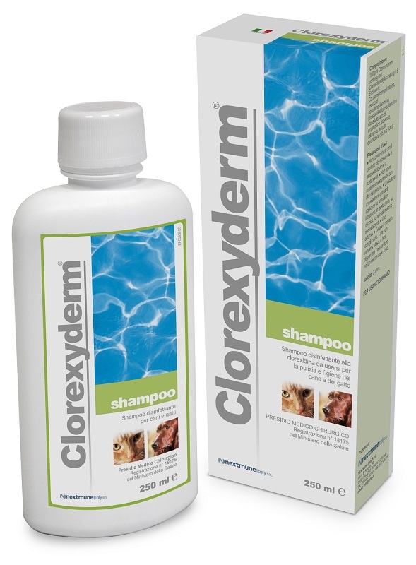 CLOREXYDERM SHAMPOO 250 ML - farmacia187.it