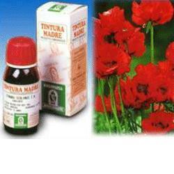 PAPAVERO CALIFORNIA 13 50ML TM - farmacia187.it