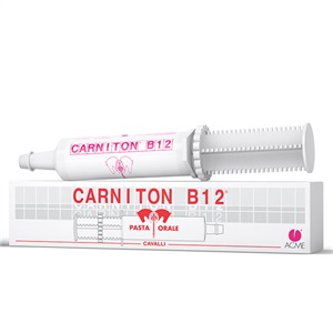 CARNITON B 12 PASTA SIRINGA 100 G - farmacia187.it