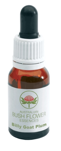 BILLY GOAT PLUM GOCCE 15 ML - farmacia187.it