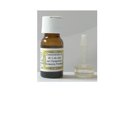 SIDEA C INTEGRALE VITAMINA C 10 ML - farmacia187.it