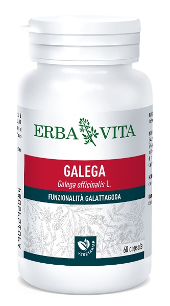 GALEGA 60 CAPSULE - farmacia187.it