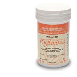 PHYLLANTHUS DAB 007 60 TAVOLETTE - farmacia187.it