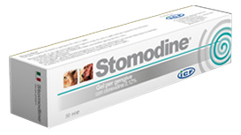 STOMODINE GEL GENGIVALE CANI 30 ML - farmacia187.it