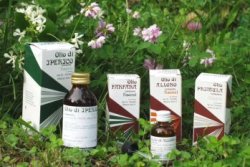 RAEMIL PROPOLI OLIO 25 ML - farmacia187.it