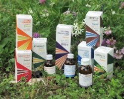 RAEMIL PROPOLI COMPOSTO 15 ML - farmacia187.it