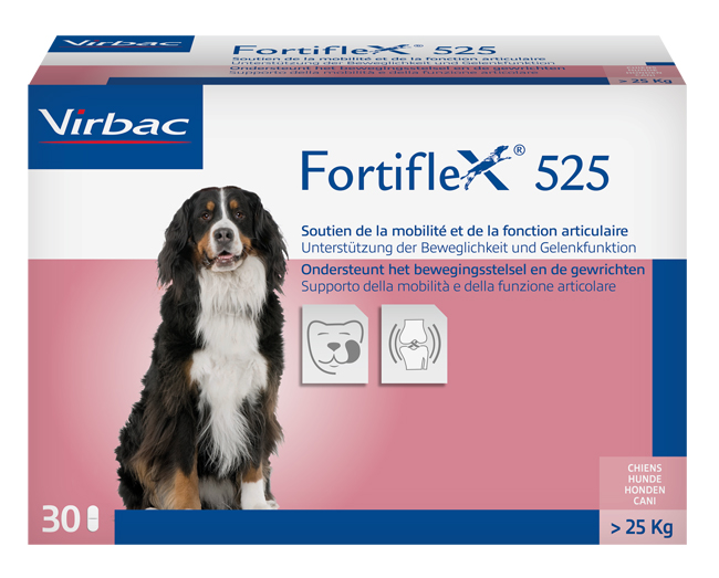 FORTIFLEX 525 MG 30 COMPRESSE APPETIBILI - farmacia187.it