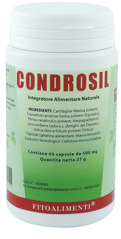 CONDROSIL 60 CAPSULE - farmacia187.it