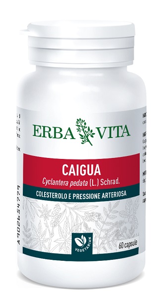CAIGUA 60 CAPSULE 400 MG - farmacia187.it