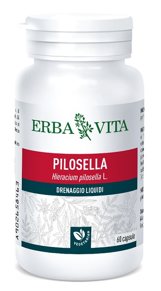 PILOSELLA 60 CAPSULE 400 MG - farmacia187.it