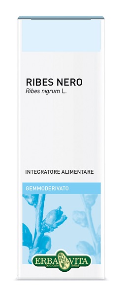 GEMMODERIVATO RIBES NERO 50 ML - farmacia187.it