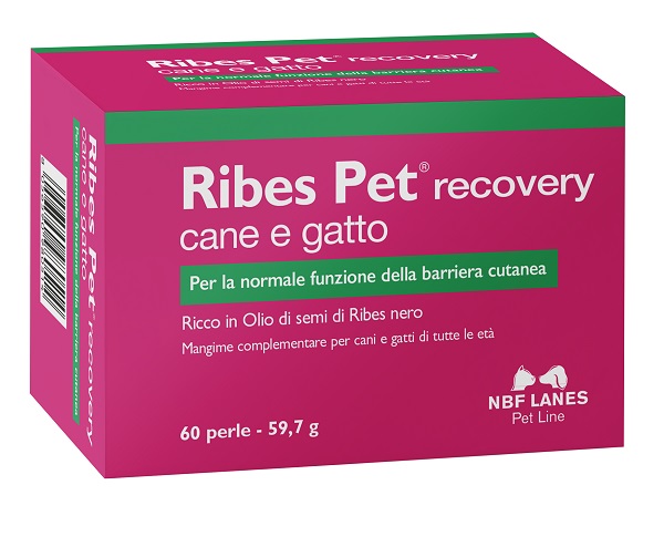 RIBES PET RECOVERY BLISTER 60 PERLE - farmacia187.it