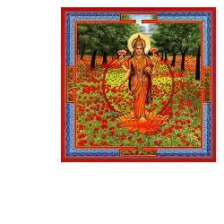 TRIPHAURUM GOCCE 30 ML - farmacia187.it