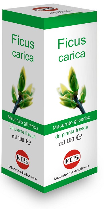 FICUS CARICA MACERATO GLICERICO 100 ML - farmacia187.it