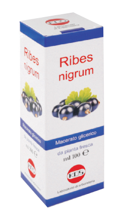 RIBES NIGRUM MACERATO GLICERICO 100 ML GOCCE - farmacia187.it