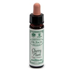 AINSWORTHS CHERRY PLUM 10ML - farmacia187.it