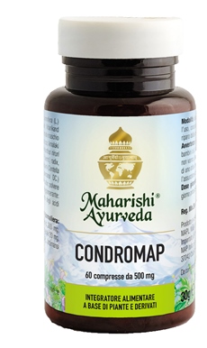 CONDROMAP 60 COMPRESSE - farmacia187.it