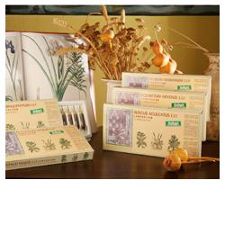 RUSCUS ACUL COMP 12F STV - farmacia187.it