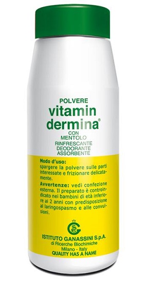 VITAMINDERMINA POLVERE MENT 100 G - farmacia187.it
