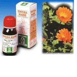 CALENDULA OFF 5 50ML TM - farmacia187.it