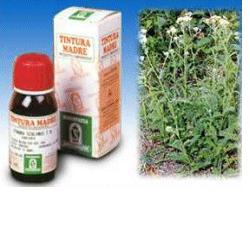 ACHILLEA 51 TINTURA MADRE 50 ML - farmacia187.it