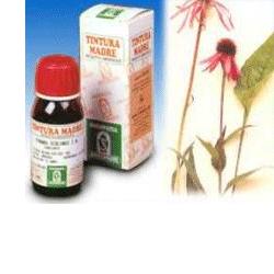ECHINACEA 59 50ML TM - farmacia187.it