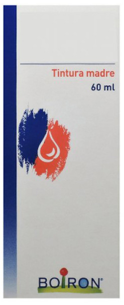 THUYA OCCIDENTALIS TINTURA MADRE 60 ML - farmacia187.it