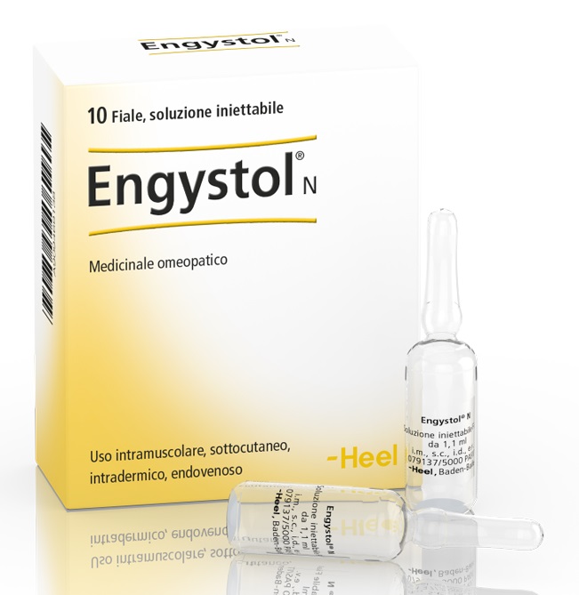 HEEL ENGYSTOL N 10 FIALE - farmacia187.it
