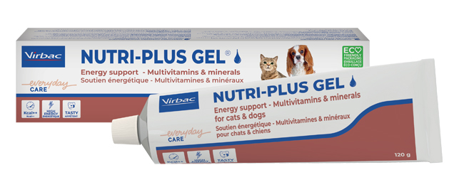 NUTRIPLUS GEL PASTA ORALE 120 G - farmacia187.it