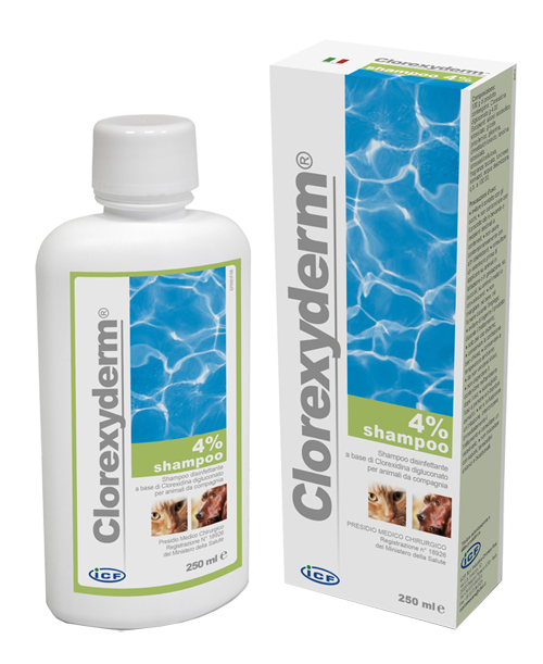 CLOREXYDERM SHAMPOO 4% 250 ML - farmacia187.it