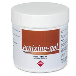 ARNIXINE GEL 750 ML - farmacia187.it