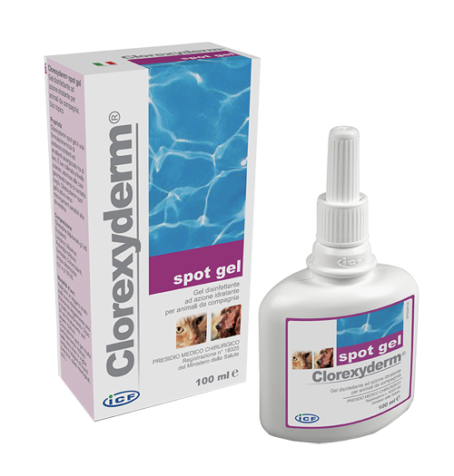 CLOREXYDERM SPOT GEL 100 ML - farmacia187.it