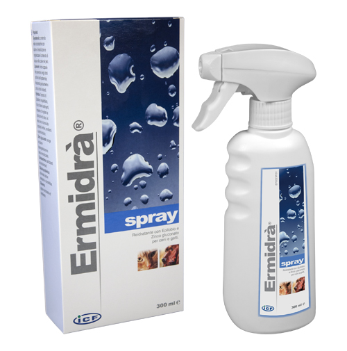 ERMIDRA' SPRAY 300 ML - farmacia187.it