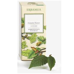 FICUS CARICA GEMME GEMMODERIVATO BIO 50 ML - farmacia187.it