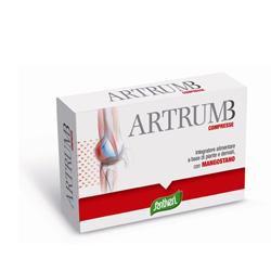 ARTRUM B CON MANGOSTANO 48 COMPRESSE 31 G - farmacia187.it