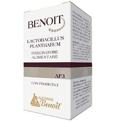 BENOIT LACTOBACILLUS PLANTHARUM 30 CAPSULE - farmacia187.it