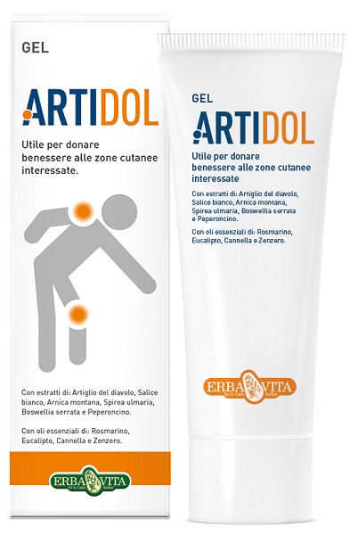 ARTIDOL GEL 100 ML - farmacia187.it