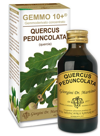 GEMMO 10+ QUERCIA 100 ML LIQUIDO ANALCOLICO - farmacia187.it