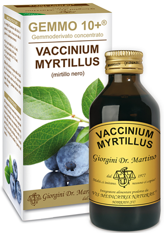 GEMMO 10+ GEMMODERIVATO CONCENTRATO VACCINIUM MYRTILLUS MIRTILLO NERO SENZA ALCOOL 100 ML - farmacia187.it