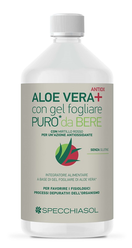 SUCCO ALOEVERA+ ALOE/MIRTILLO ROSSO 1 LITRO - farmacia187.it