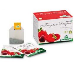 INFUSO BIO FRAGOLA E LAMPONE 20 FILTRI - farmacia187.it