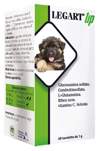 LEGART UP 60 COMPRESSE DA 1 G - farmacia187.it