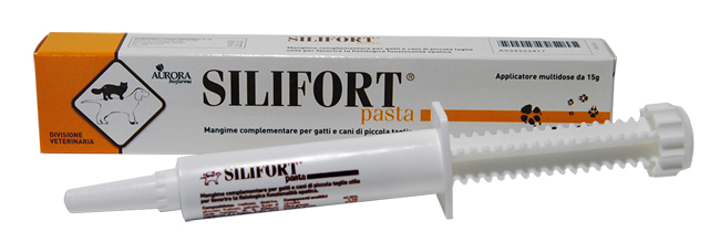 SILIFORT PASTA OS SIRINGA 15 G - farmacia187.it