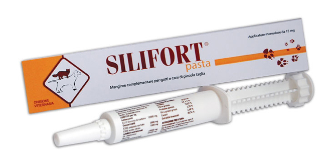 SILIFORT PASTA OS SIRINGA 30 G - farmacia187.it